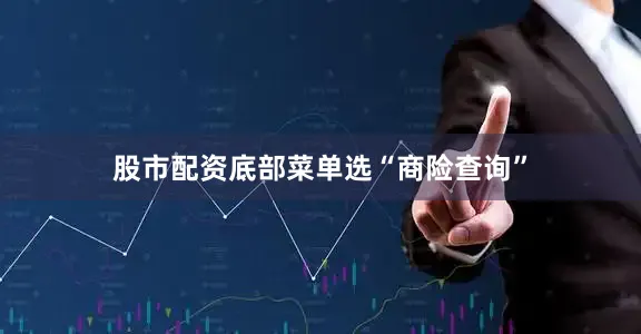 股市配资底部菜单选“商险查询”