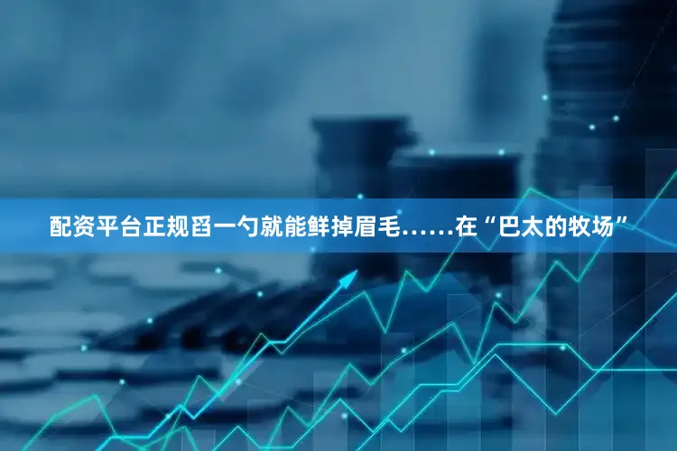 配资平台正规舀一勺就能鲜掉眉毛……在“巴太的牧场”