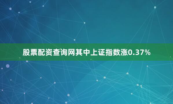 股票配资查询网其中上证指数涨0.37%